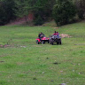 Meet your Posher, Alicia